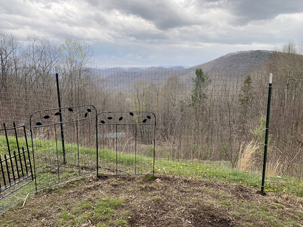 The view from the lower level where we let the chickens free range.